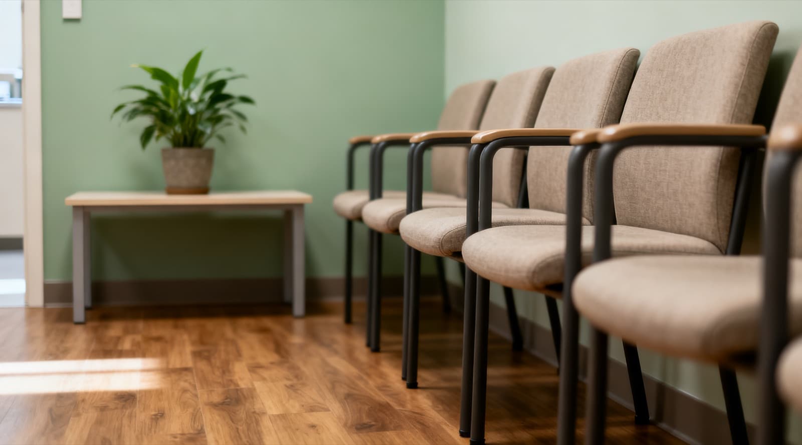 A row of empty upholstered chairs in a clinic waiting area, a low table with a potted plant against a sage green wall.